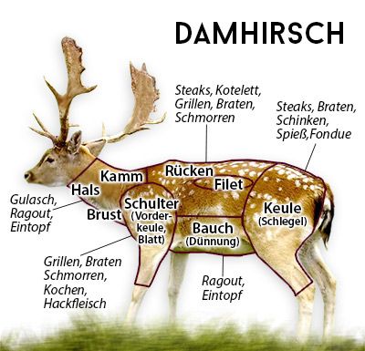 Damhirsch Fleisch